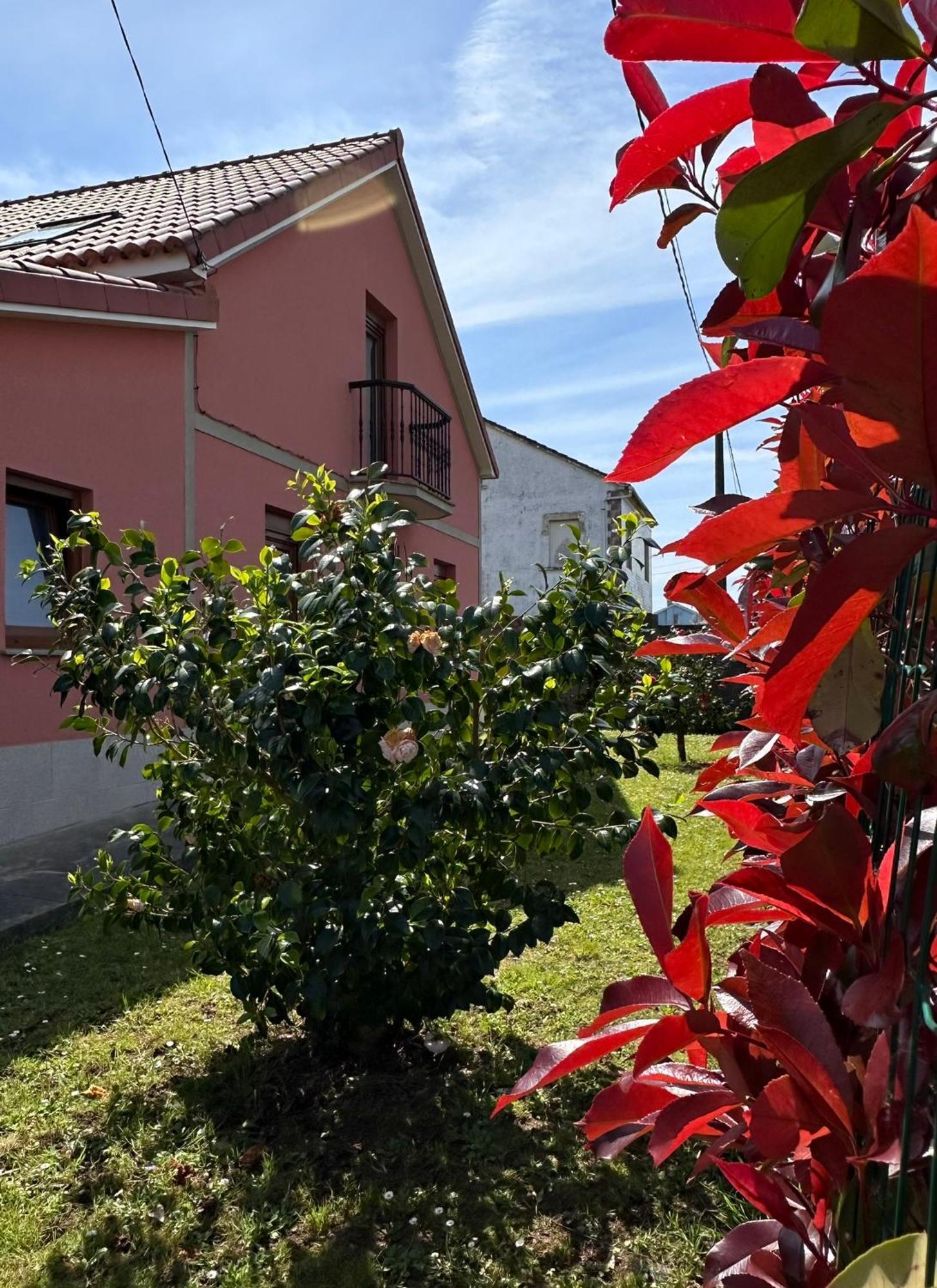Casa Bieiteiros Villa Valdoviño Eksteriør billede